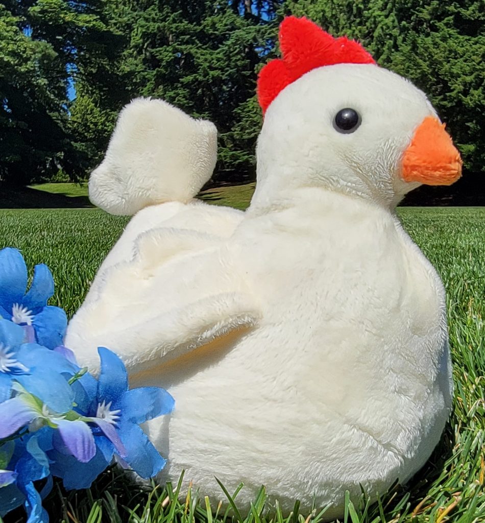 Handmade Round Hen Plush, Custom Color Minky Chicken Stuffie, USA