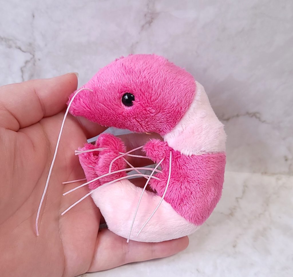 Handmade Minky Shrimp Plush, Custom Color Prawn Stuffie, USA Made